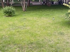 -东北农业大学饺子园