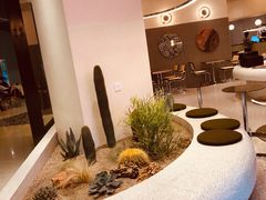 -OUR Bakery(SKP-S店)