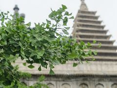 -北京石刻艺术博物馆(五塔寺)