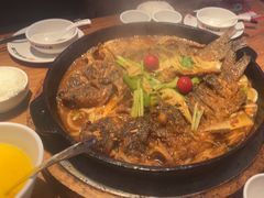 -老板恋上鱼(恒隆广场店)