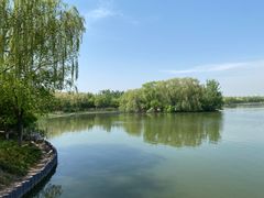 -大兴滨河森林公园