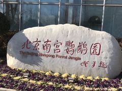 -南宫五洲植物乐园