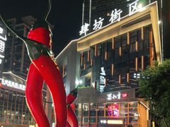 -蜀九香火锅(李家沱店)