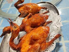 -石岐乳鸽村(南海第三分店)