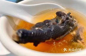 Fresh Ginseng Stewed Black Chicken