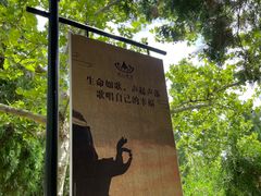 -龙口南山旅游景区