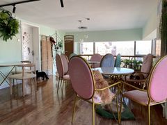 大堂-这儿没有猫·猫咖萌宠馆·撸猫