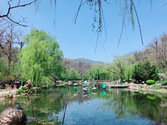 -棒棰岛宾馆景区