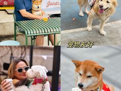-嘉善老市