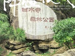 -白水寺森林公园