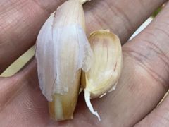 -玉香宫河州牛肉拉面