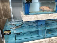 -莆鑫海鲜城(浏河店)