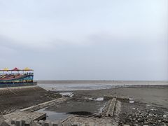 -奉贤海滩