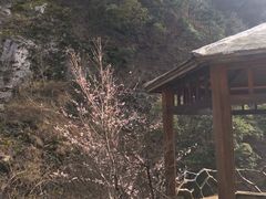 -罗田天堂寨风景区