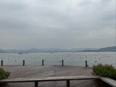 -杭州君悦酒店
