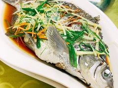 清蒸西江边鱼-西江河鲜·趣苑酒楼(鼎湖店)