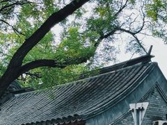 -北京国子监胡同