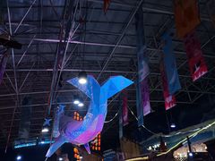 -海合安青岛极地海洋公园