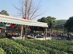 -听风阁农家私房菜茶楼(龙坞店)