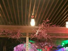 -青藤汗蒸时代会所