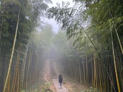 -莫干山风景区
