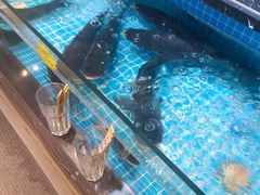 -侬佳蒸菜馆(听潮店)