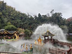 -西双版纳原始森林公园