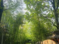 -老张烤羊(王哥庄店)