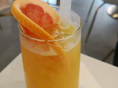 -飞行喵MR PILOT|猫舍·猫咖(静安大融城店)