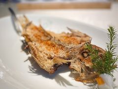 -海游荟·海洋文化餐厅(福田店)