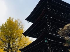 -医王山·飞騨国分寺
