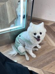 -Hair Co.一间沙龙