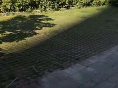 -张钰强中医正骨推拿连锁(唐家人才公寓店)