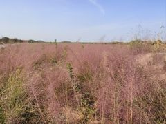 -汉景帝阳陵博物院