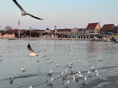 -老虎石海上公园