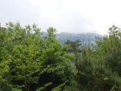 DSC03506-广州市流溪河国家森林公园