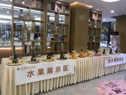 -宝生月子中心·独栋独院式(南山店)