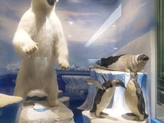 -国家自然博物馆