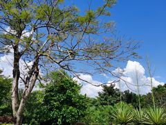 -风云岭森林公园