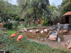 -昆明动物园