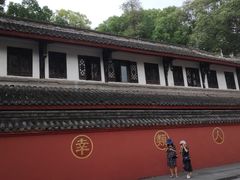 -龙抄手(文殊坊店)