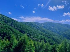 -苏木山森林公园