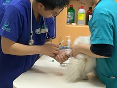 -联合动物医院(光谷诊疗中心)