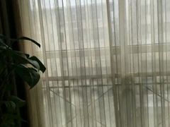 -府苑美食(政七街店)