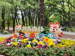 -共青国家森林公园-南大门停车场