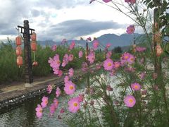 -大理地热国