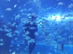 -邯郸海洋世界