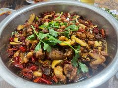 -食神又名厕所兔