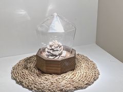 -露露家咖啡店