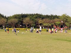 鸽子草坪-白鹭洲公园